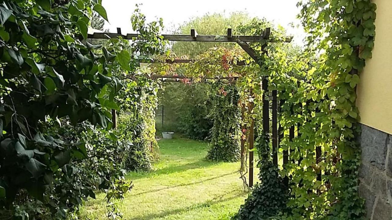 Genesungsort Landhaus Dammert Oppach Dış mekan fotoğraf