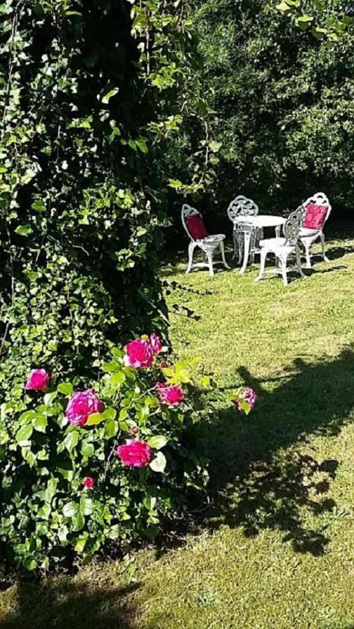 Genesungsort Landhaus Dammert Oppach Dış mekan fotoğraf